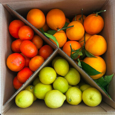 Box Degustazione Arance Limoni e Clementine 14,5 kg