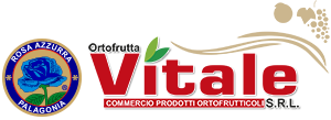 Ortofrutta Vitale